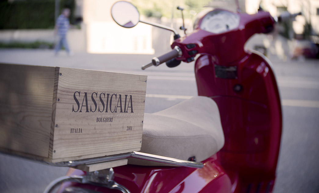 Bolgheri wine tour on luxury vehicle | Wine tasting in Tuscany