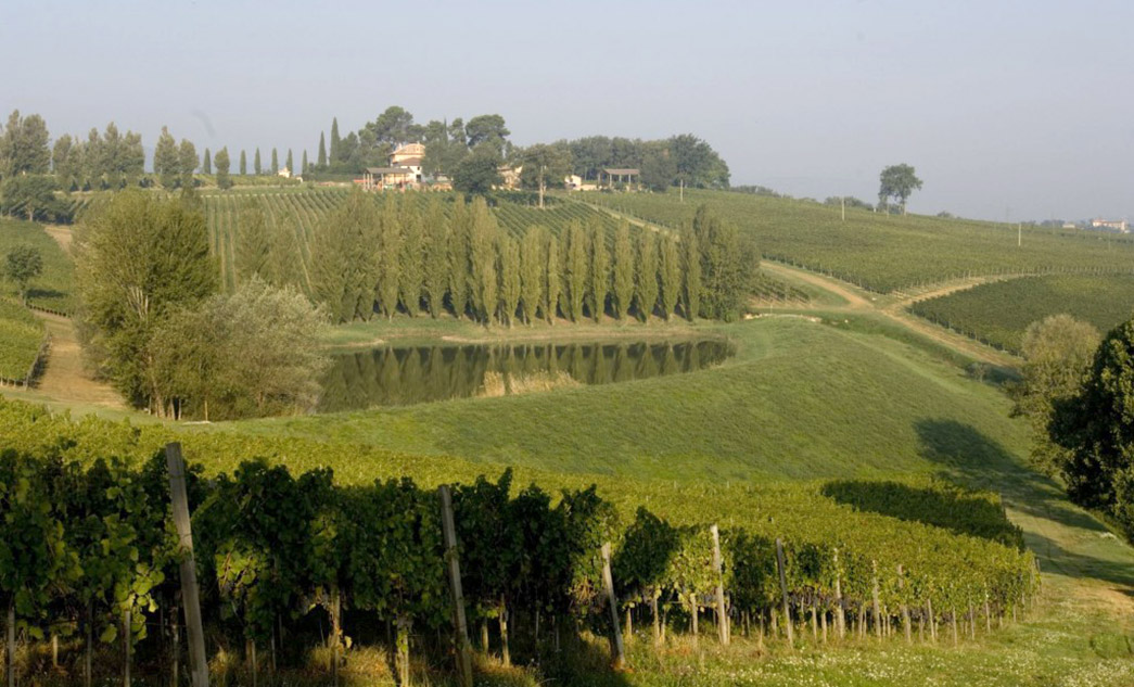 Tour del Sagrantino di Montefalco | Degustazione di vini in Umbria