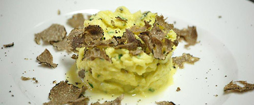 Truffle tour in Tuscany and Umbria | Truffle tasting and hunting