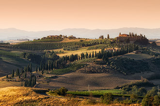 Sightseeing transfers to and from Tuscany in Italy with deluxe cars